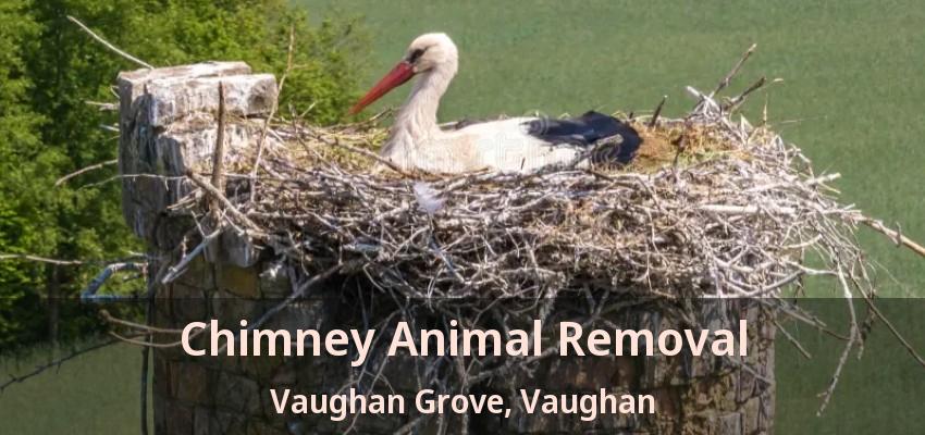Chimney Animal Removal Vaughan Grove, Vaughan - ON