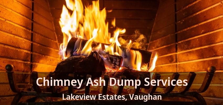 Chimney Ash Dump Services Lakeview Estates, Vaughan - ON