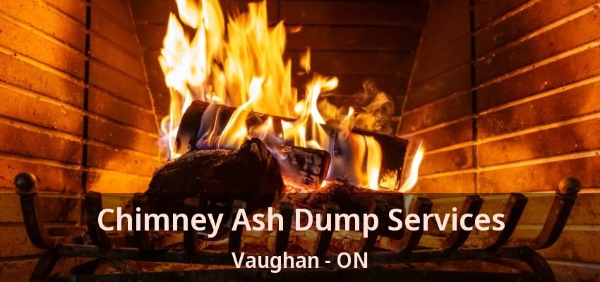 Chimney Ash Dump Services Vaughan - ON