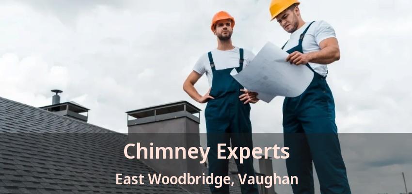 Chimney Experts East Woodbridge, Vaughan - ON
