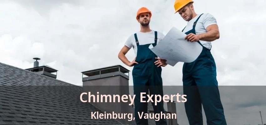 Chimney Experts Kleinburg, Vaughan - ON