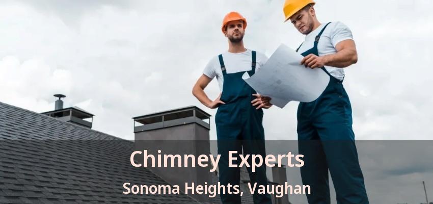 Chimney Experts Sonoma Heights, Vaughan - ON