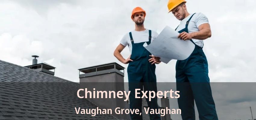 Chimney Experts Vaughan Grove, Vaughan - ON