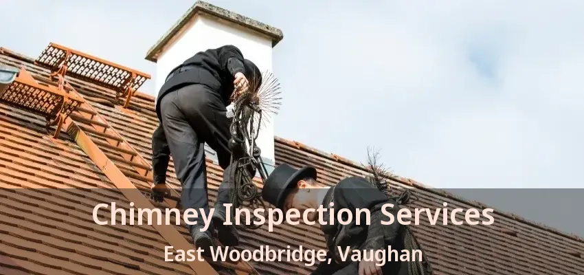 Chimney Inspection Services East Woodbridge, Vaughan - ON