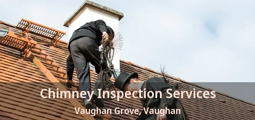 Chimney Inspection Services Vaughan Grove, Vaughan - ON