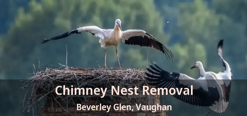 Chimney Nest Removal Beverley Glen, Vaughan - ON