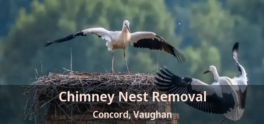 Chimney Nest Removal Concord, Vaughan - ON