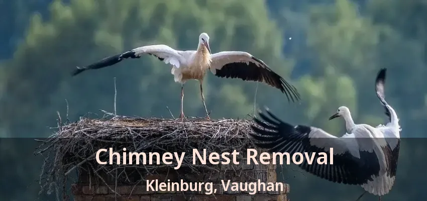Chimney Nest Removal Kleinburg, Vaughan - ON