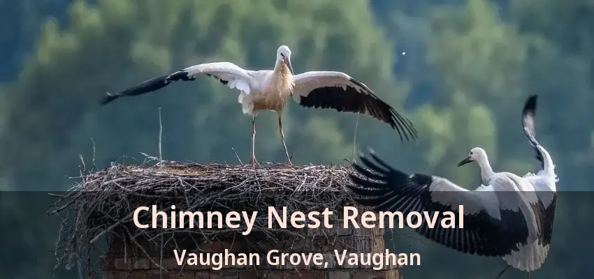 Chimney Nest Removal Vaughan Grove, Vaughan - ON