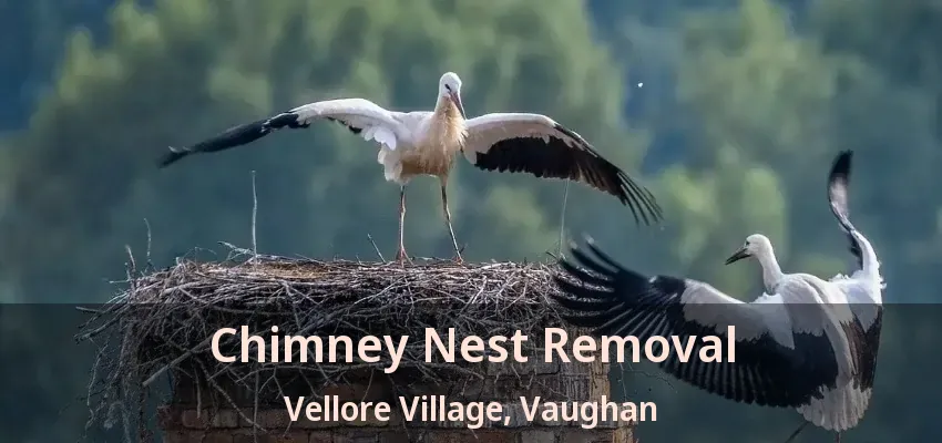 Chimney Nest Removal Vellore Village, Vaughan - ON