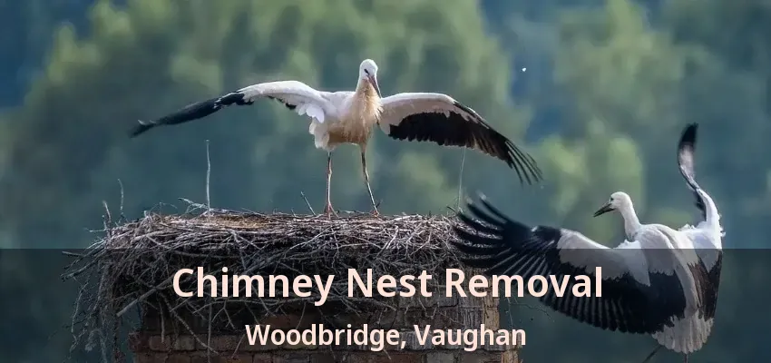 Chimney Nest Removal Woodbridge, Vaughan - ON
