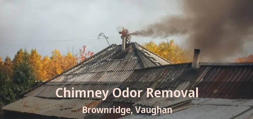 Chimney Odor Removal Brownridge, Vaughan - ON
