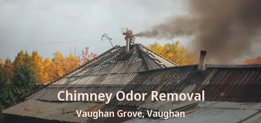 Chimney Odor Removal Vaughan Grove, Vaughan - ON