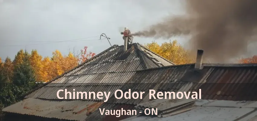 Chimney Odor Removal Vaughan - ON