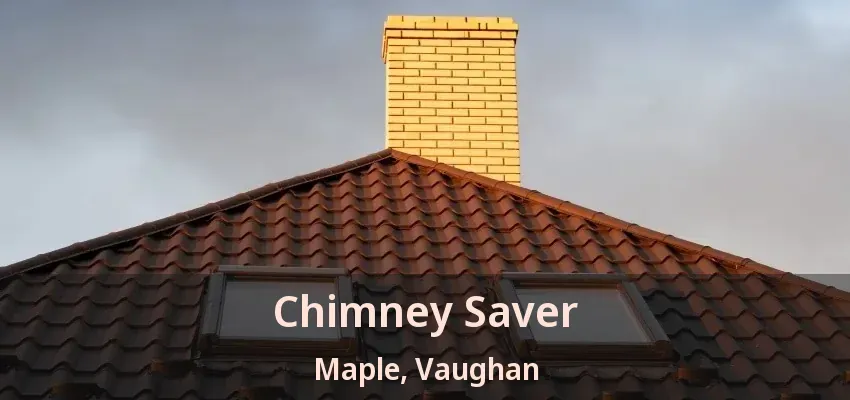 Chimney Saver Maple, Vaughan - ON