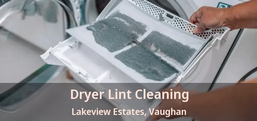 Dryer Lint Cleaning Lakeview Estates, Vaughan - ON