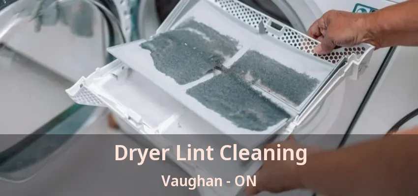 Dryer Lint Cleaning Vaughan - ON