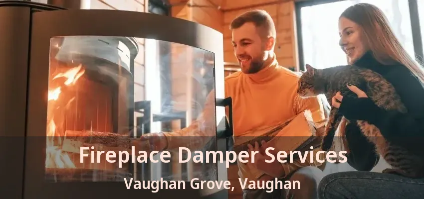 Fireplace Damper Services Vaughan Grove, Vaughan - ON