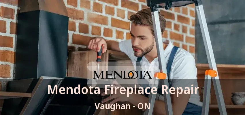 Mendota Fireplace Repair Vaughan - ON
