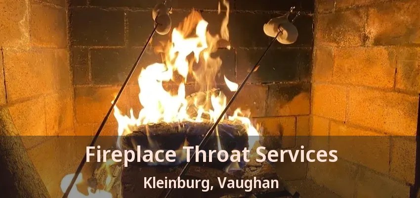 Fireplace Throat Services Kleinburg, Vaughan - ON