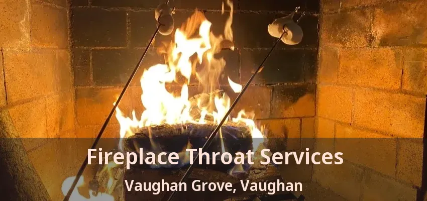 Fireplace Throat Services Vaughan Grove, Vaughan - ON