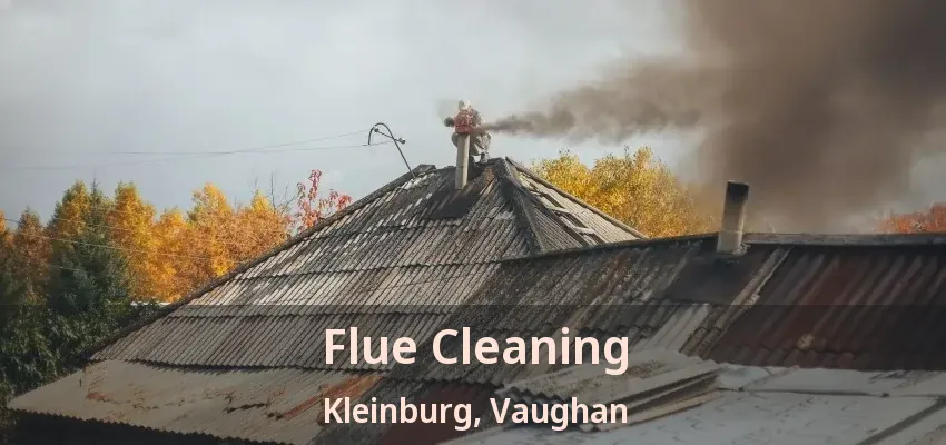 Flue Cleaning Kleinburg, Vaughan - ON