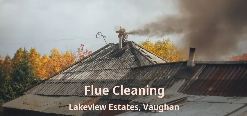 Flue Cleaning Lakeview Estates, Vaughan - ON