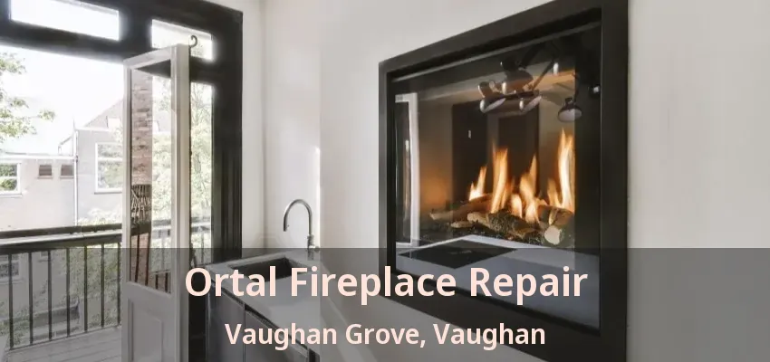 Ortal Fireplace Repair Vaughan Grove, Vaughan - ON