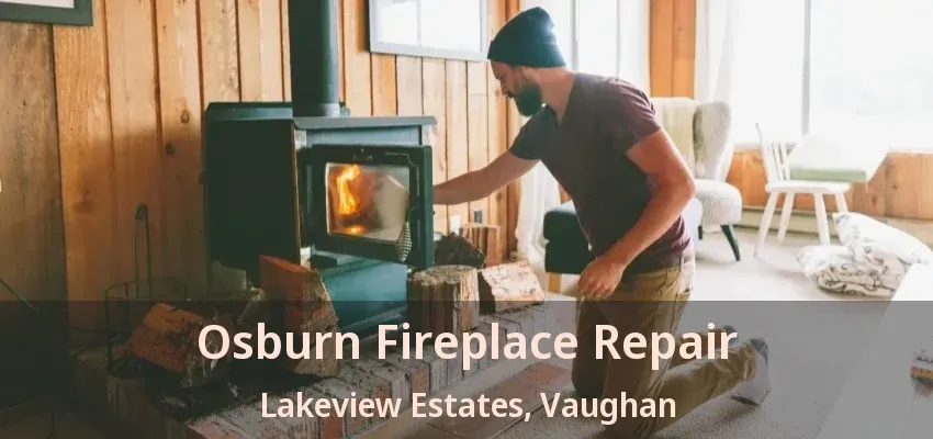 Osburn Fireplace Repair Lakeview Estates, Vaughan - ON